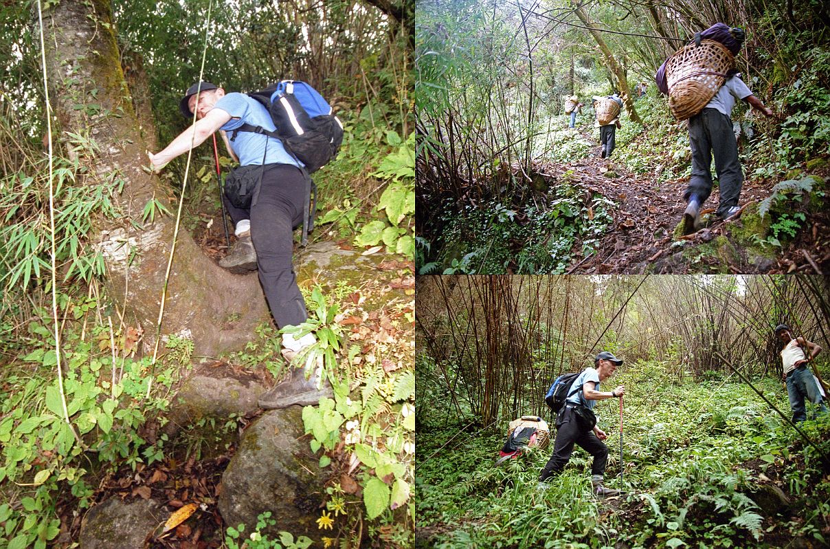 107 Jerome Ryan And Crew Climbing Thru Steep Forest To Shepherds Kharka